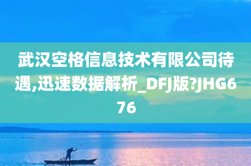 武汉空格信息技术有限公司待遇,迅速数据解析_DFJ版?JHG676