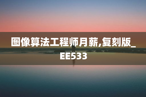 图像算法工程师月薪,复刻版_EE533