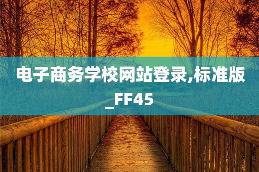 电子商务学校网站登录,标准版_FF45