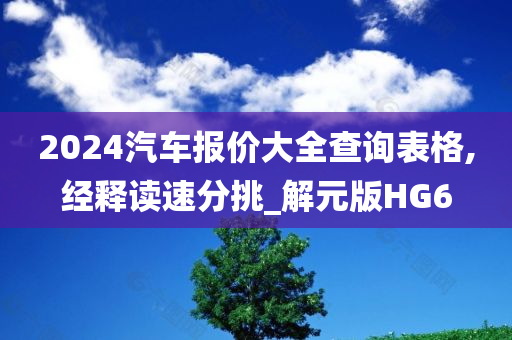 2024汽车报价大全查询表格,经释读速分挑_解元版HG6