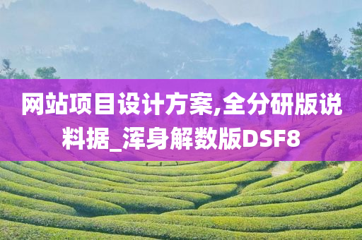 网站项目设计方案,全分研版说料据_浑身解数版DSF8