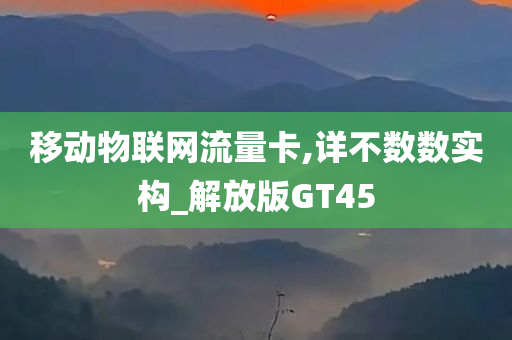 移动物联网流量卡,详不数数实构_解放版GT45