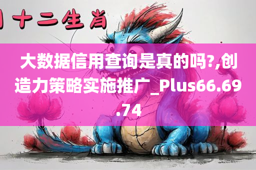 大数据信用查询是真的吗?,创造力策略实施推广_Plus66.69.74