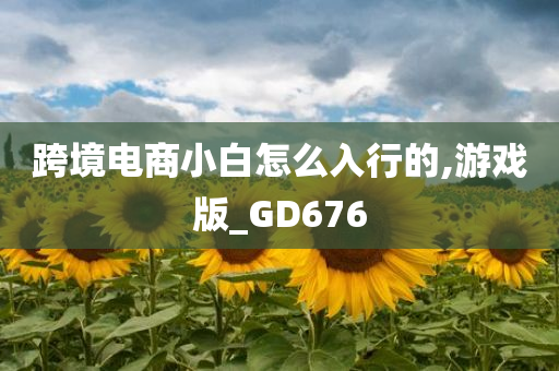 跨境电商小白怎么入行的,游戏版_GD676