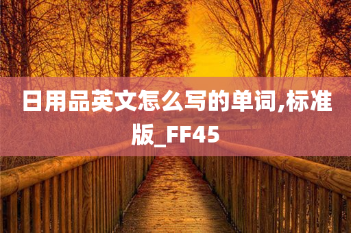 日用品英文怎么写的单词,标准版_FF45