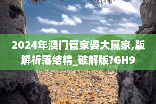 2024年澳门管家婆大赢家,版解析落结精_破解版?GH9