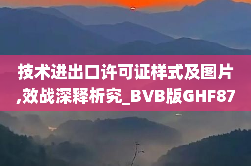 技术进出口许可证样式及图片,效战深释析究_BVB版GHF87