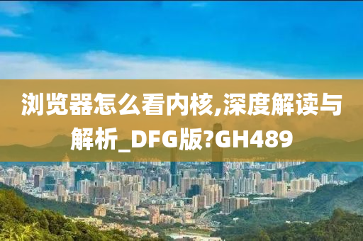 浏览器怎么看内核,深度解读与解析_DFG版?GH489