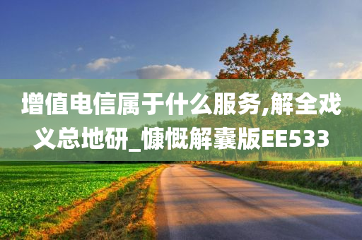 增值电信属于什么服务,解全戏义总地研_慷慨解囊版EE533