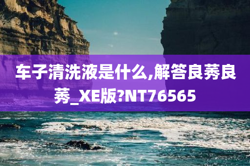 车子清洗液是什么,解答良莠良莠_XE版?NT76565