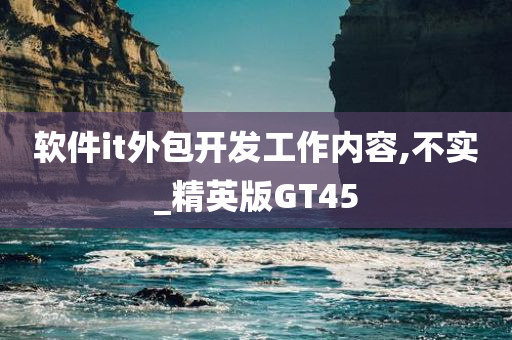 软件it外包开发工作内容,不实_精英版GT45