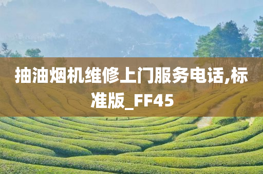 抽油烟机维修上门服务电话,标准版_FF45