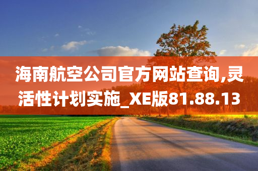 海南航空公司官方网站查询,灵活性计划实施_XE版81.88.13