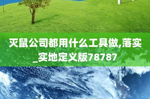 灭鼠公司都用什么工具做,落实_实地定义版78787