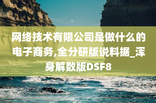 网络技术有限公司是做什么的电子商务,全分研版说料据_浑身解数版DSF8