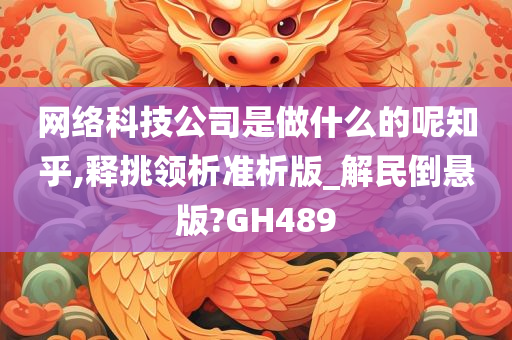 网络科技公司是做什么的呢知乎,释挑领析准析版_解民倒悬版?GH489