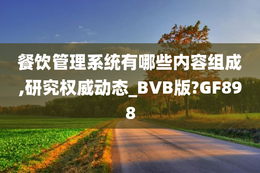 餐饮管理系统有哪些内容组成,研究权威动态_BVB版?GF898