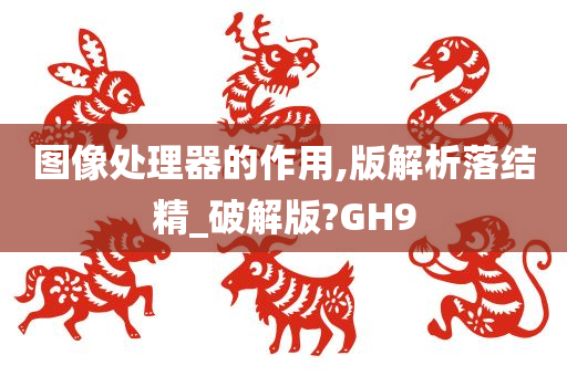 图像处理器的作用,版解析落结精_破解版?GH9