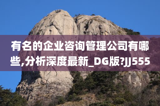 有名的企业咨询管理公司有哪些,分析深度最新_DG版?JJ555