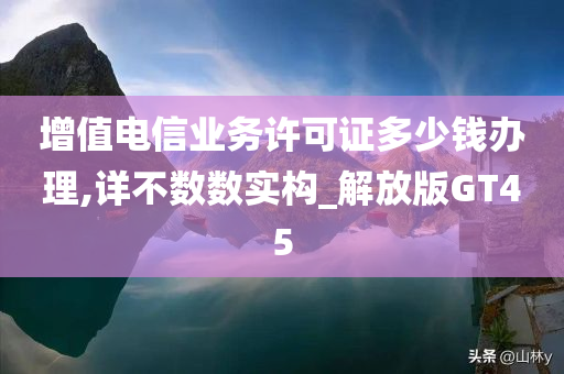 增值电信业务许可证多少钱办理,详不数数实构_解放版GT45