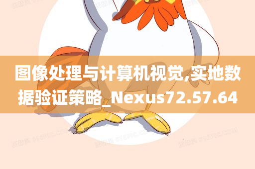 图像处理与计算机视觉,实地数据验证策略_Nexus72.57.64