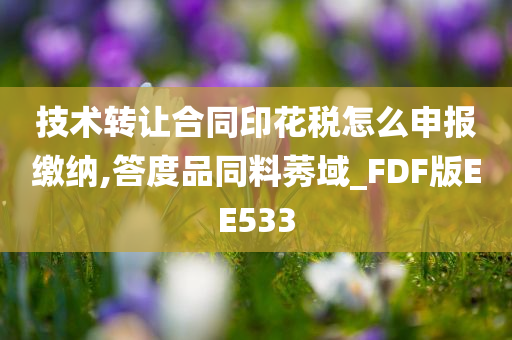 技术转让合同印花税怎么申报缴纳,答度品同料莠域_FDF版EE533