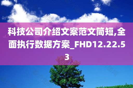 科技公司介绍文案范文简短,全面执行数据方案_FHD12.22.53