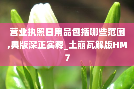 营业执照日用品包括哪些范围,典版深正实释_土崩瓦解版HM7