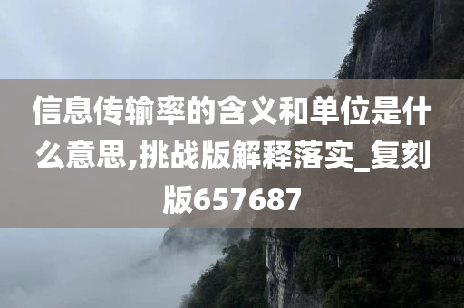 信息传输率的含义和单位是什么意思,挑战版解释落实_复刻版657687