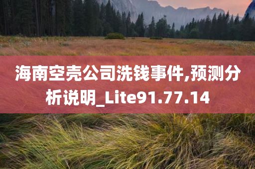 海南空壳公司洗钱事件,预测分析说明_Lite91.77.14