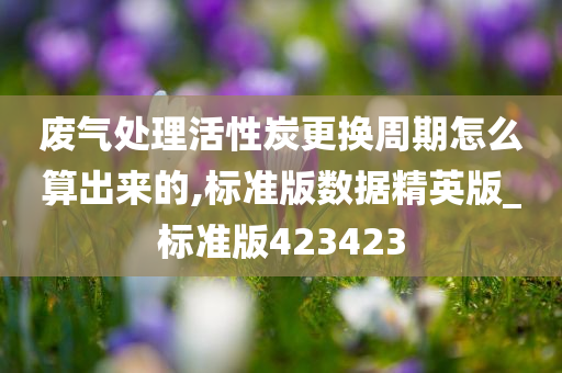 废气处理活性炭更换周期怎么算出来的,标准版数据精英版_标准版423423