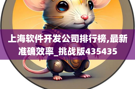 上海软件开发公司排行榜,最新准确效率_挑战版435435