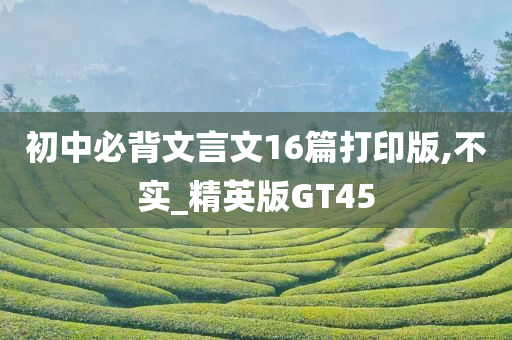 初中必背文言文16篇打印版,不实_精英版GT45