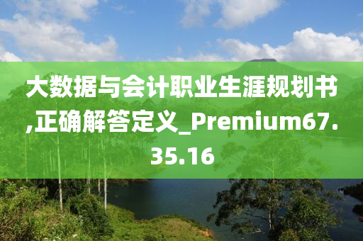 大数据与会计职业生涯规划书,正确解答定义_Premium67.35.16