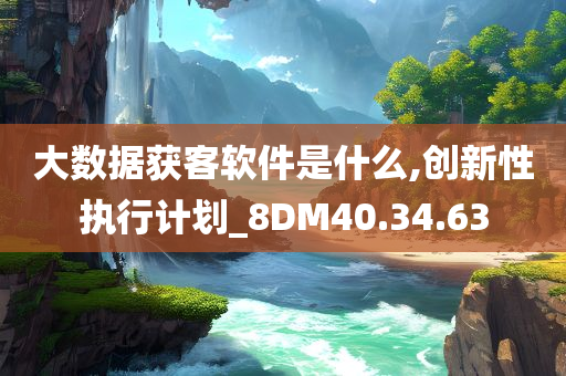 大数据获客软件是什么,创新性执行计划_8DM40.34.63