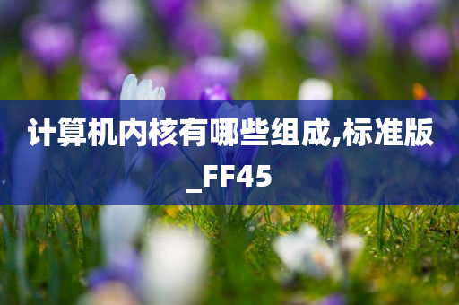 计算机内核有哪些组成,标准版_FF45