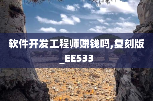 软件开发工程师赚钱吗,复刻版_EE533