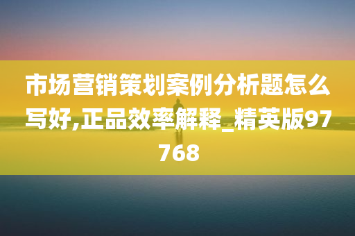 市场营销策划案例分析题怎么写好,正品效率解释_精英版97768