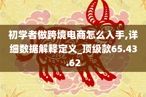 初学者做跨境电商怎么入手,详细数据解释定义_顶级款65.43.62