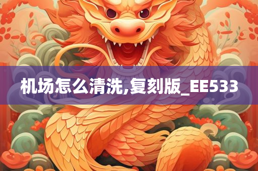 机场怎么清洗,复刻版_EE533