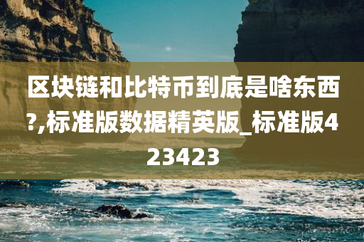 区块链和比特币到底是啥东西?,标准版数据精英版_标准版423423