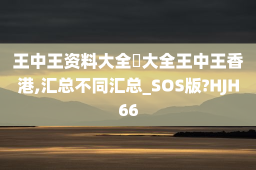 王中王资料大全枓大全王中王香港,汇总不同汇总_SOS版?HJH66