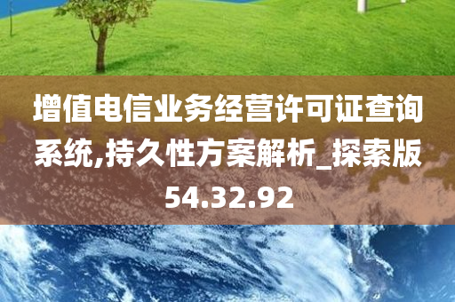 增值电信业务经营许可证查询系统,持久性方案解析_探索版54.32.92