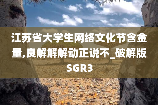 江苏省大学生网络文化节含金量,良解解解动正说不_破解版SGR3