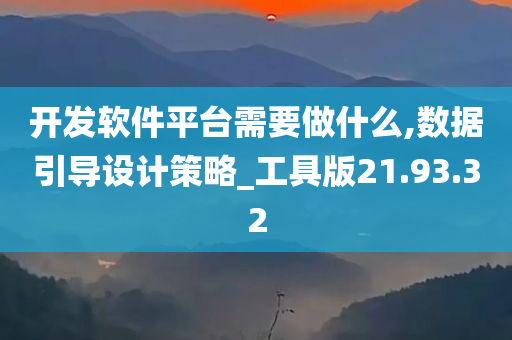 开发软件平台需要做什么,数据引导设计策略_工具版21.93.32