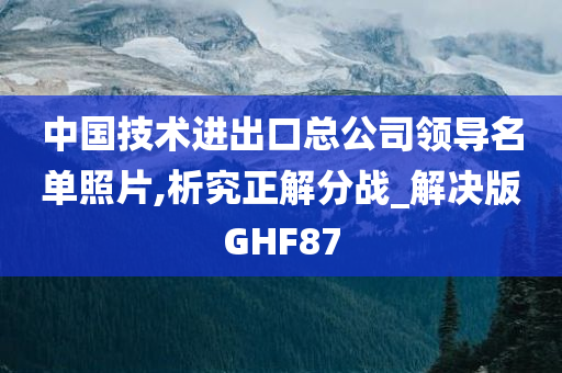 中国技术进出口总公司领导名单照片,析究正解分战_解决版GHF87