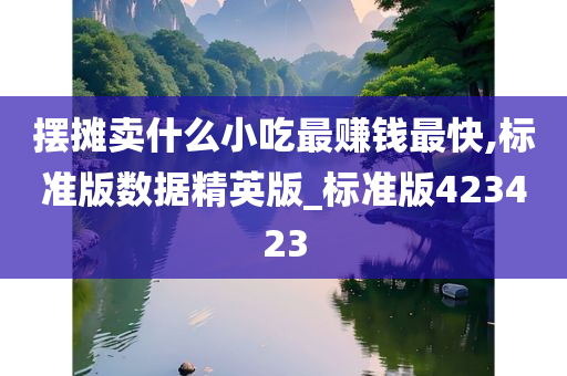 摆摊卖什么小吃最赚钱最快,标准版数据精英版_标准版423423