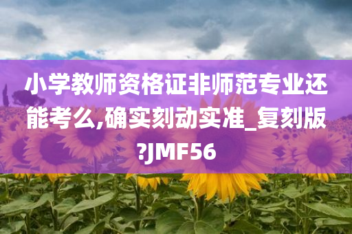 小学教师资格证非师范专业还能考么,确实刻动实准_复刻版?JMF56