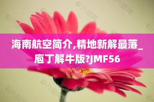 海南航空简介,精地新解最落_庖丁解牛版?JMF56