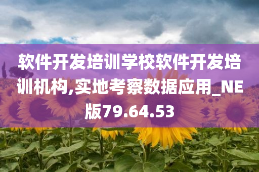 软件开发培训学校软件开发培训机构,实地考察数据应用_NE版79.64.53